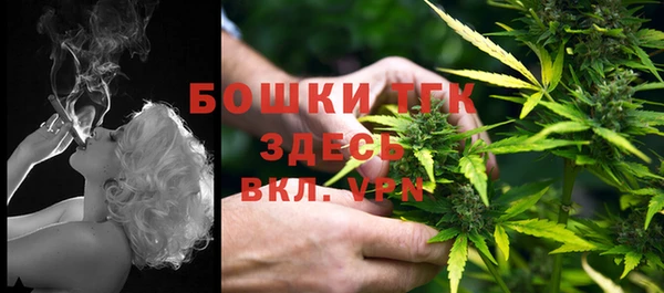 амф Бородино